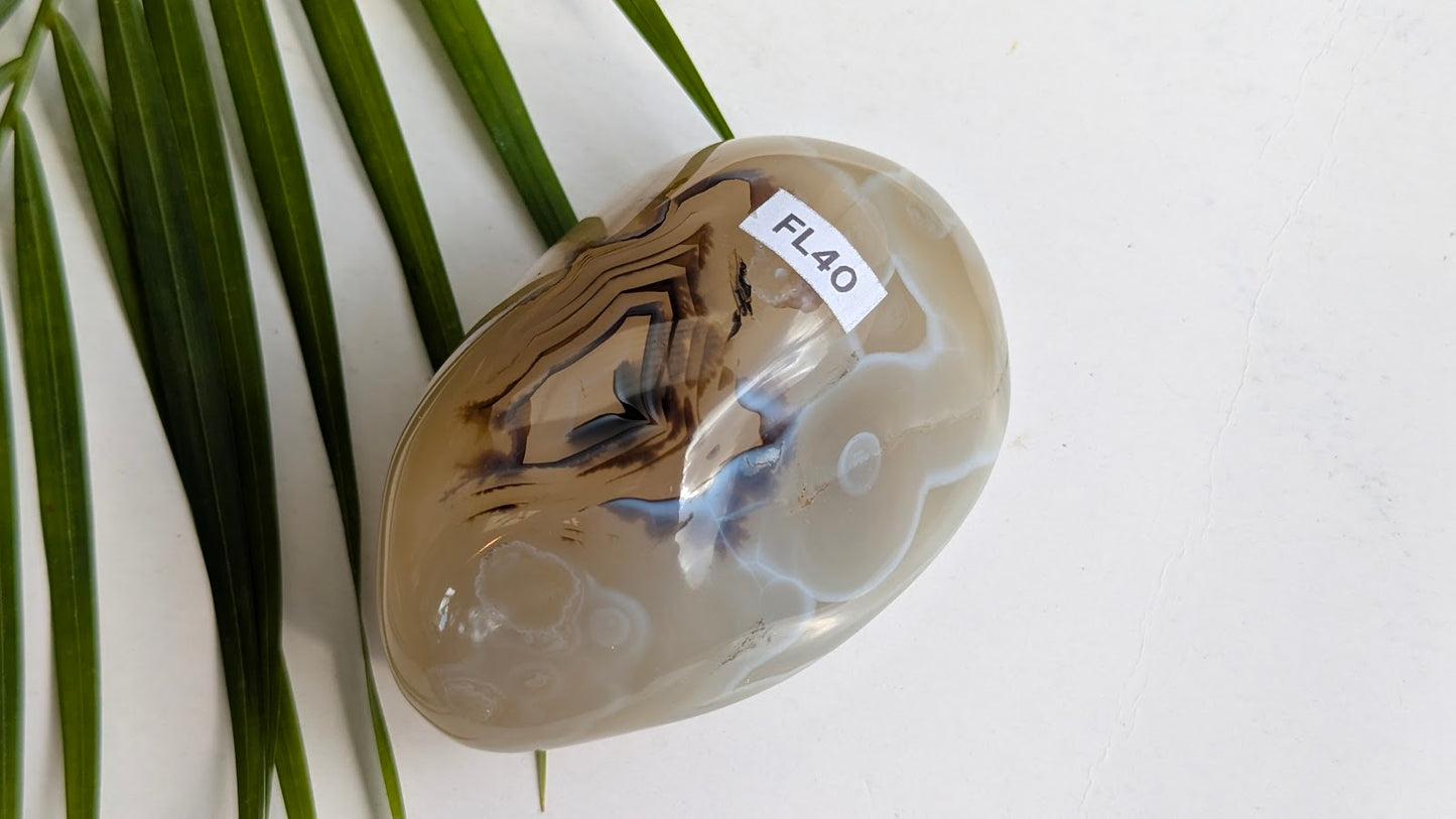 FL40 Agate dendritique Forme libre