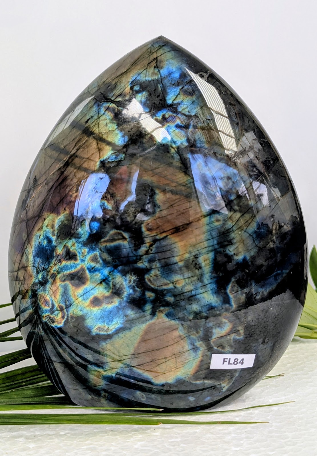 FL84 Labradorite Forme libre