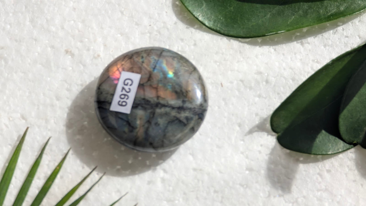 G269 Labradorite Galet