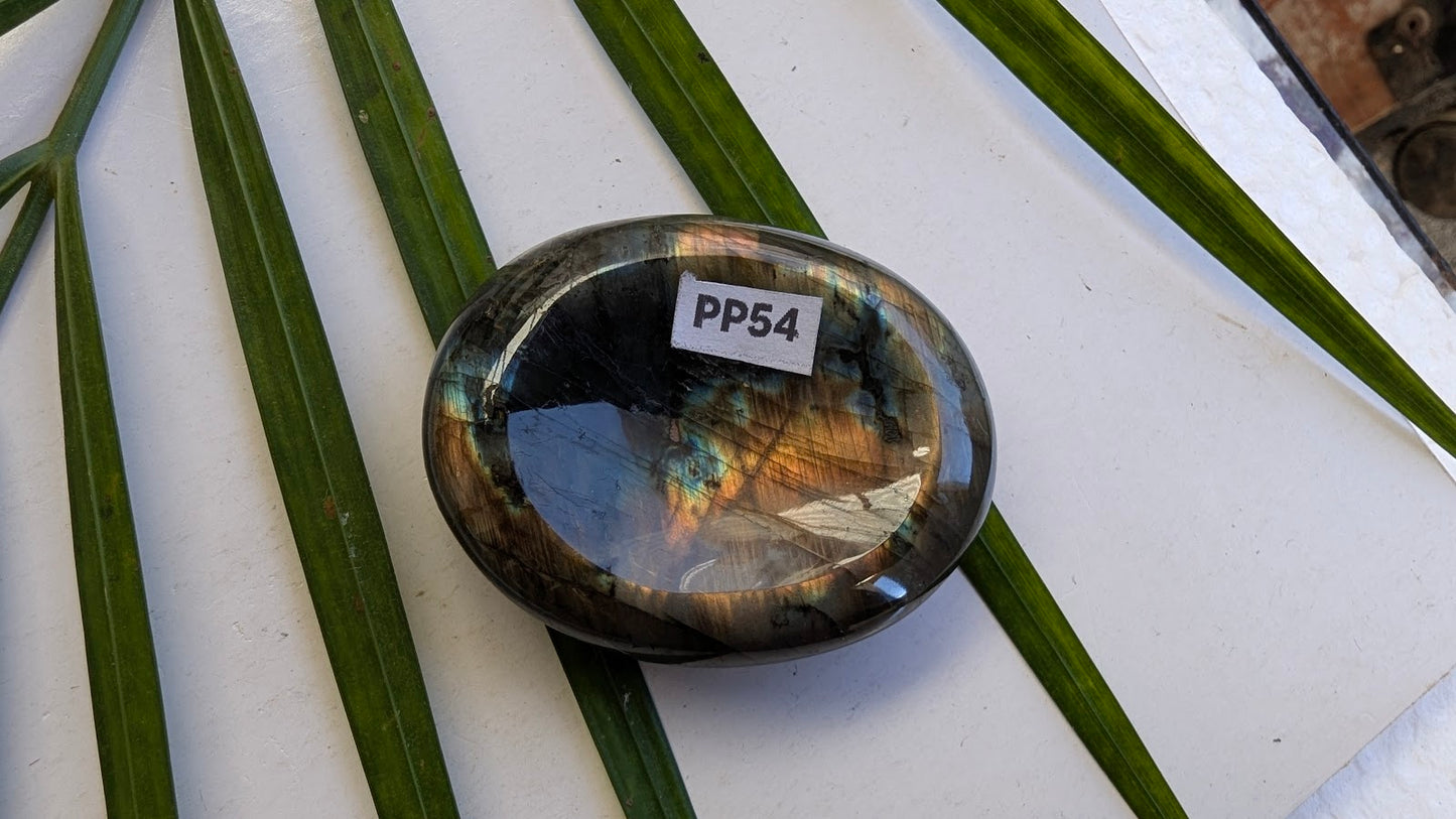 PP54 Labradorite Pierre de pouce