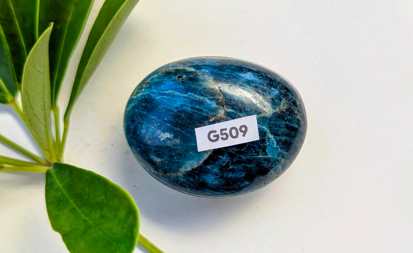 G509 Apatite Galet