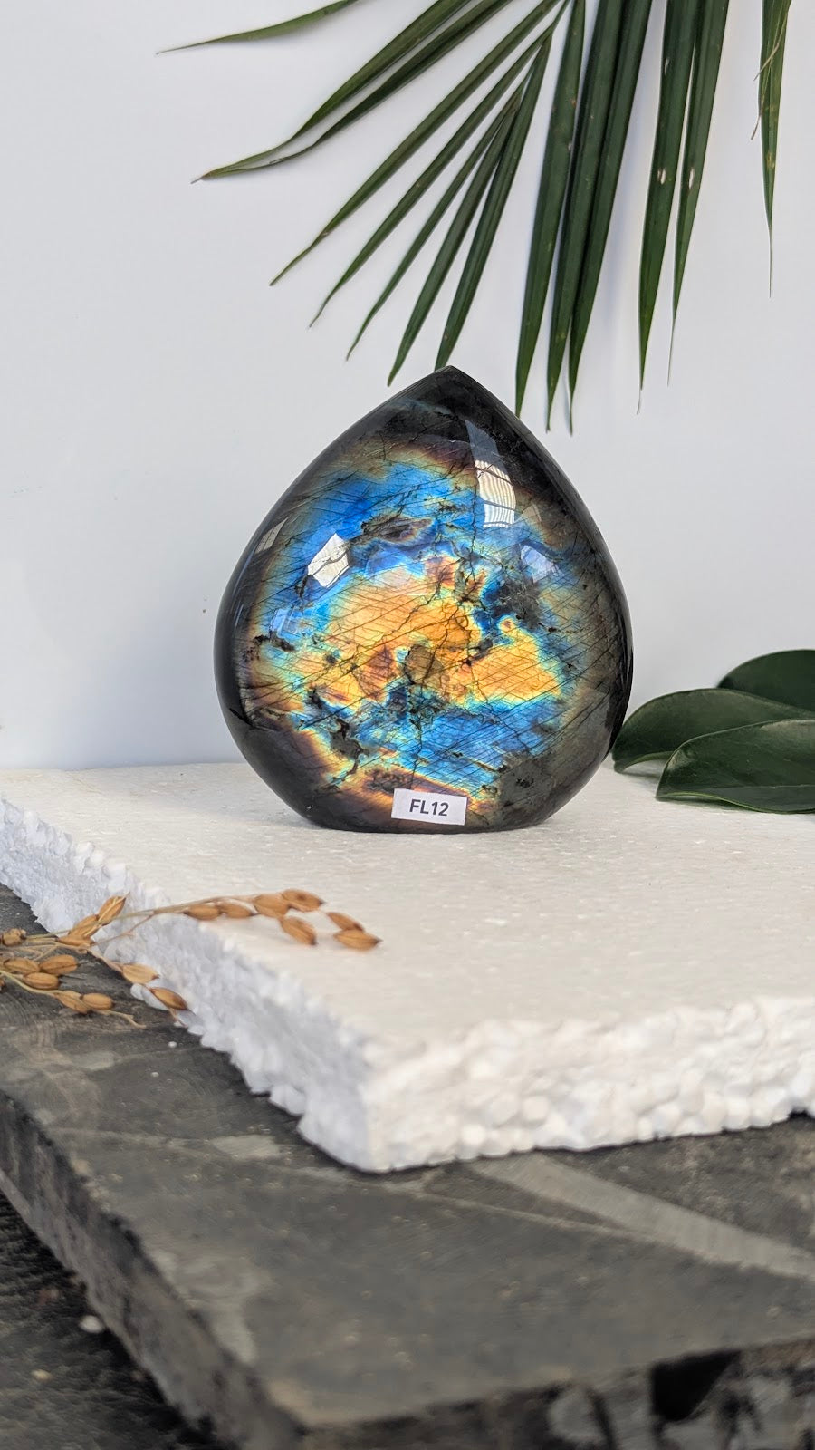 FL12 Labradorite Forme libre