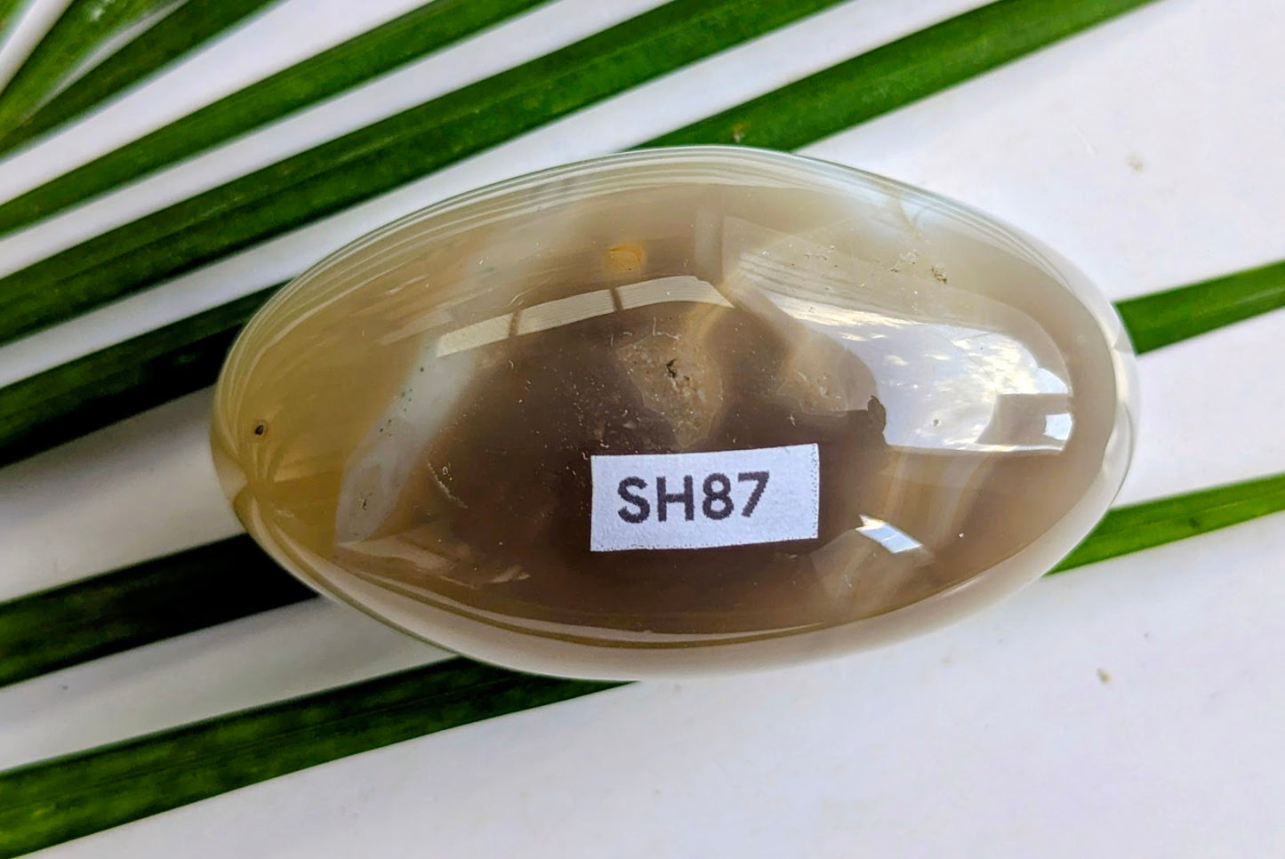 SH87 Agate shiva