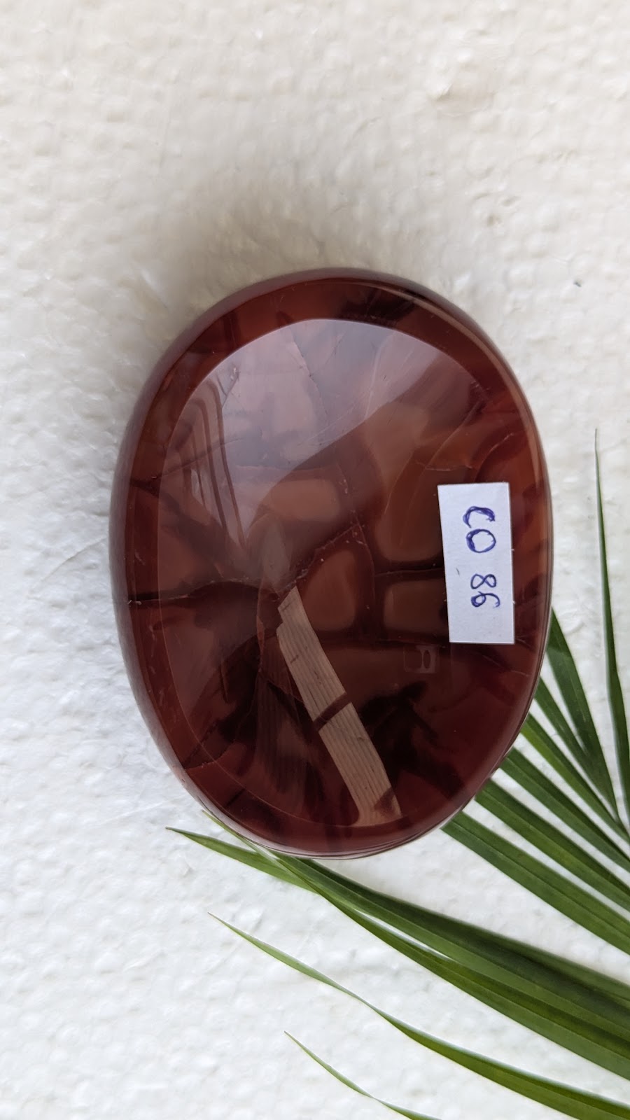 CO 86 Cornaline Coupelle