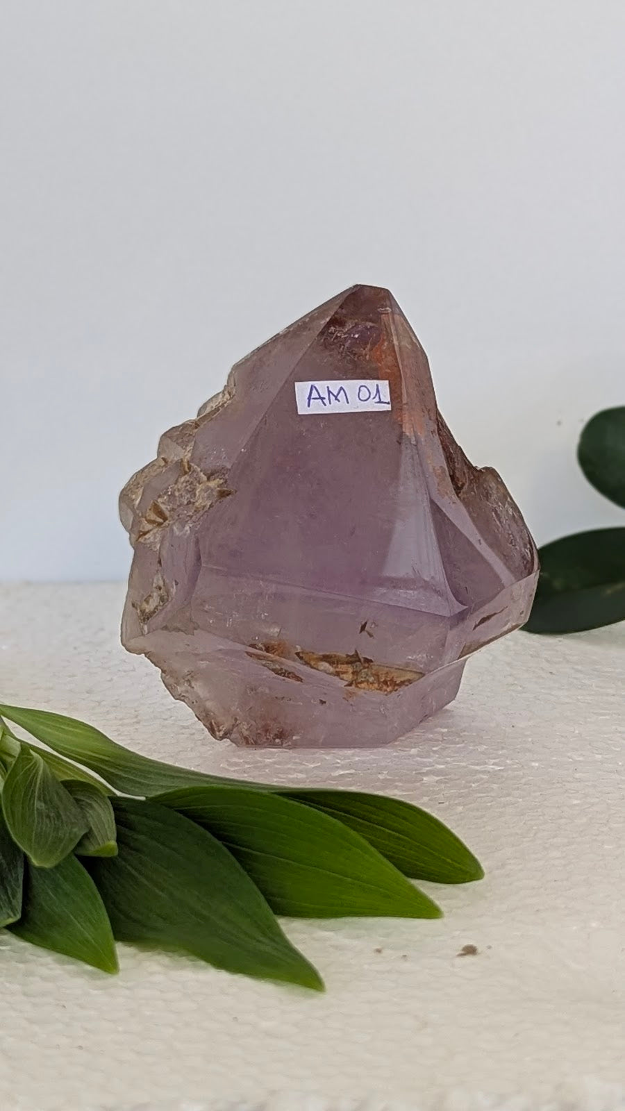 AM 01 Améthyste collection