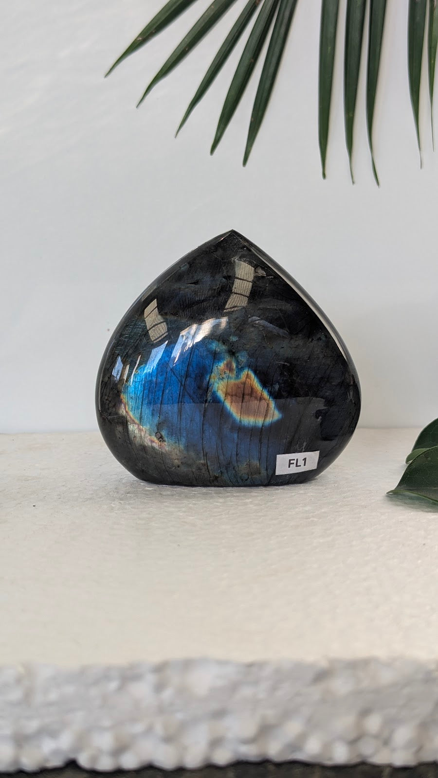 FL1 Labradorite Forme libre