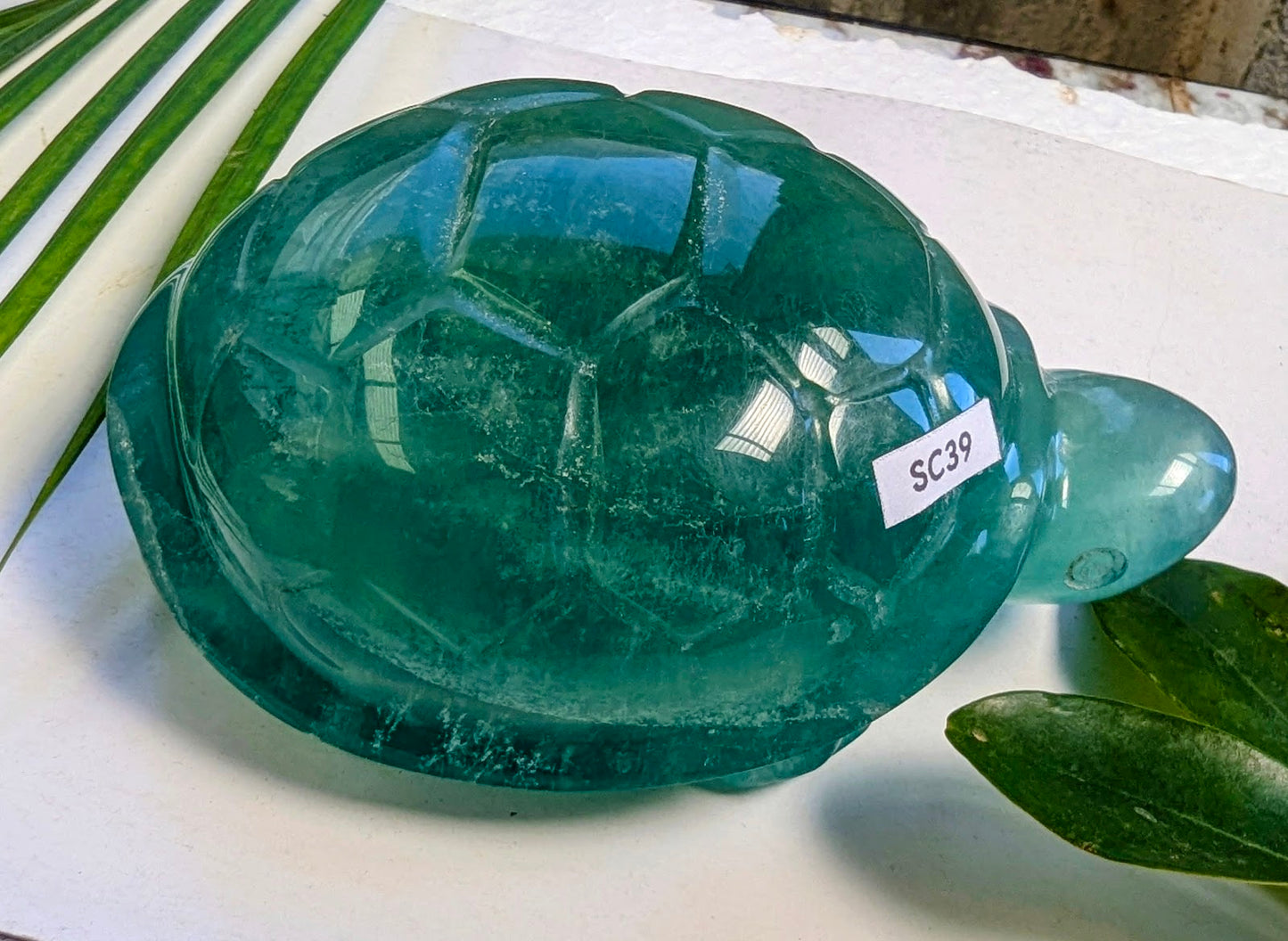 SC39 Fluorine verte tortue