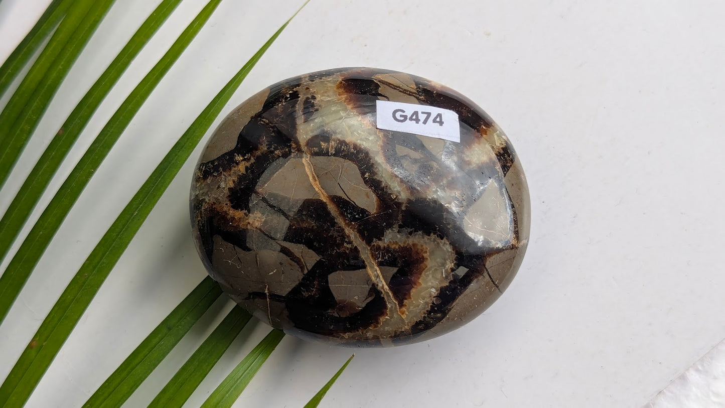 G474 Septaria galet