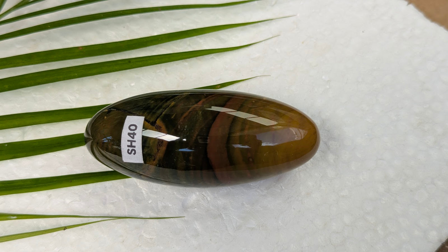 SH40 jaspe shiva