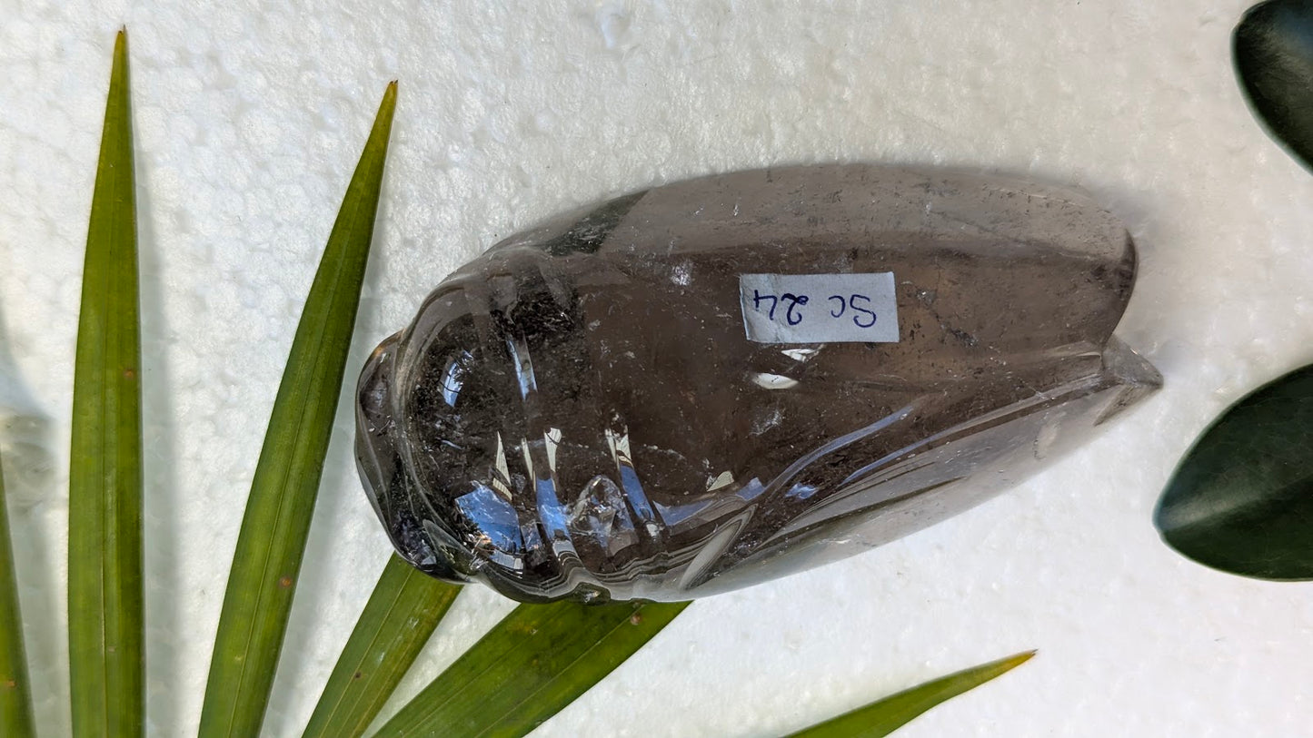 SC 24 Quartz fumé cigale