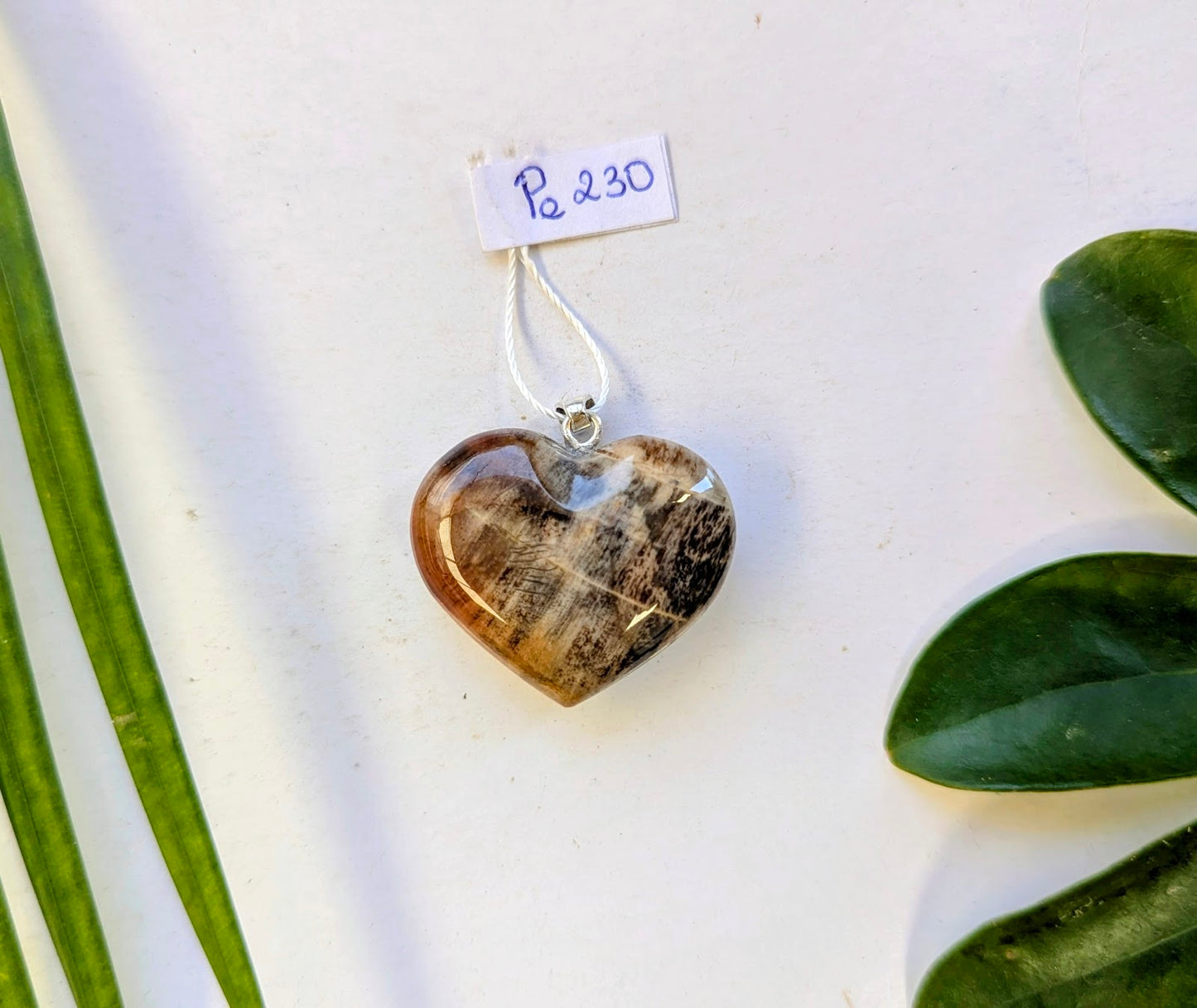 Pe 230 Agate fougère pendentif
