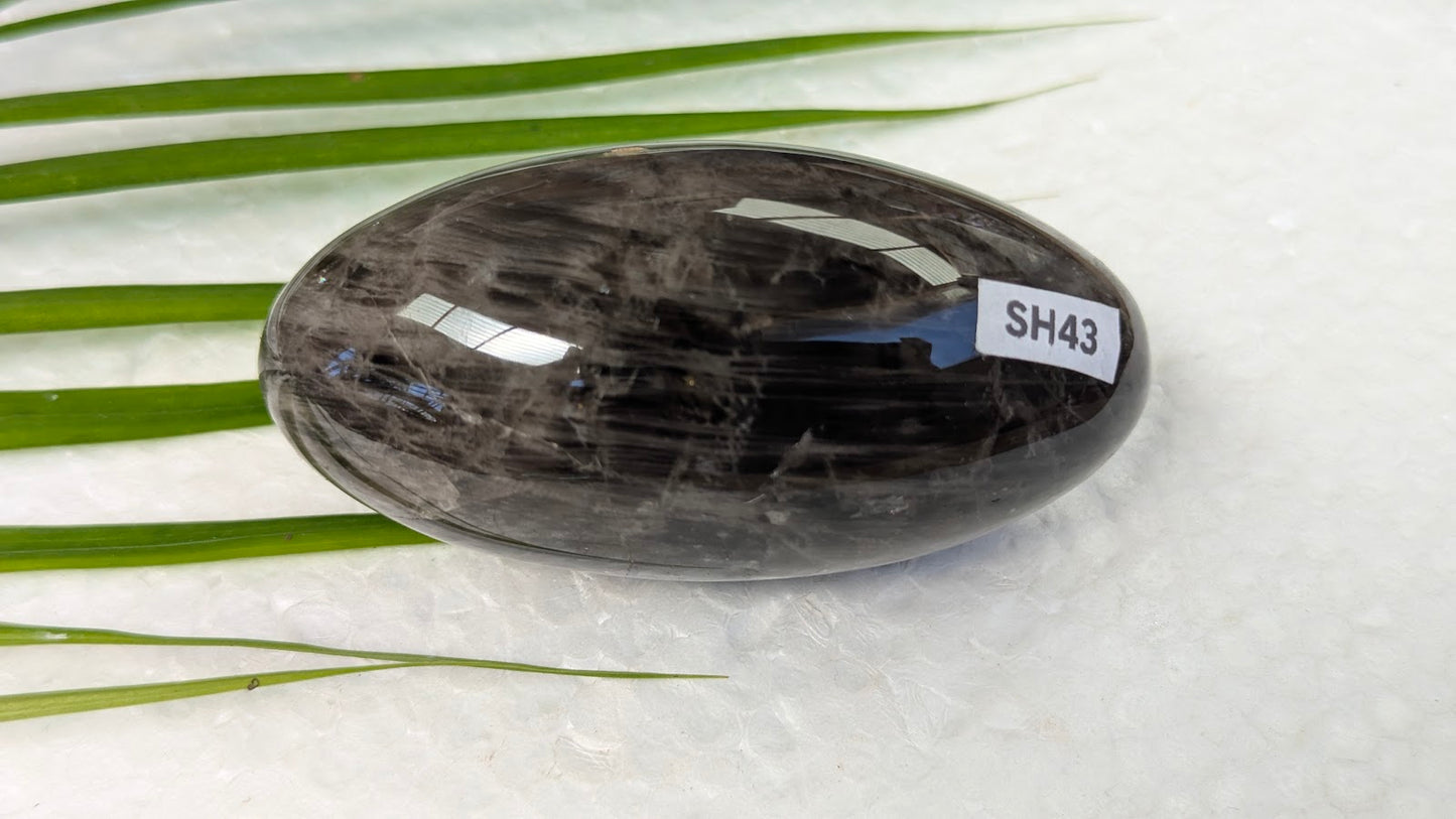 SH43 Bois fossilisé shiva