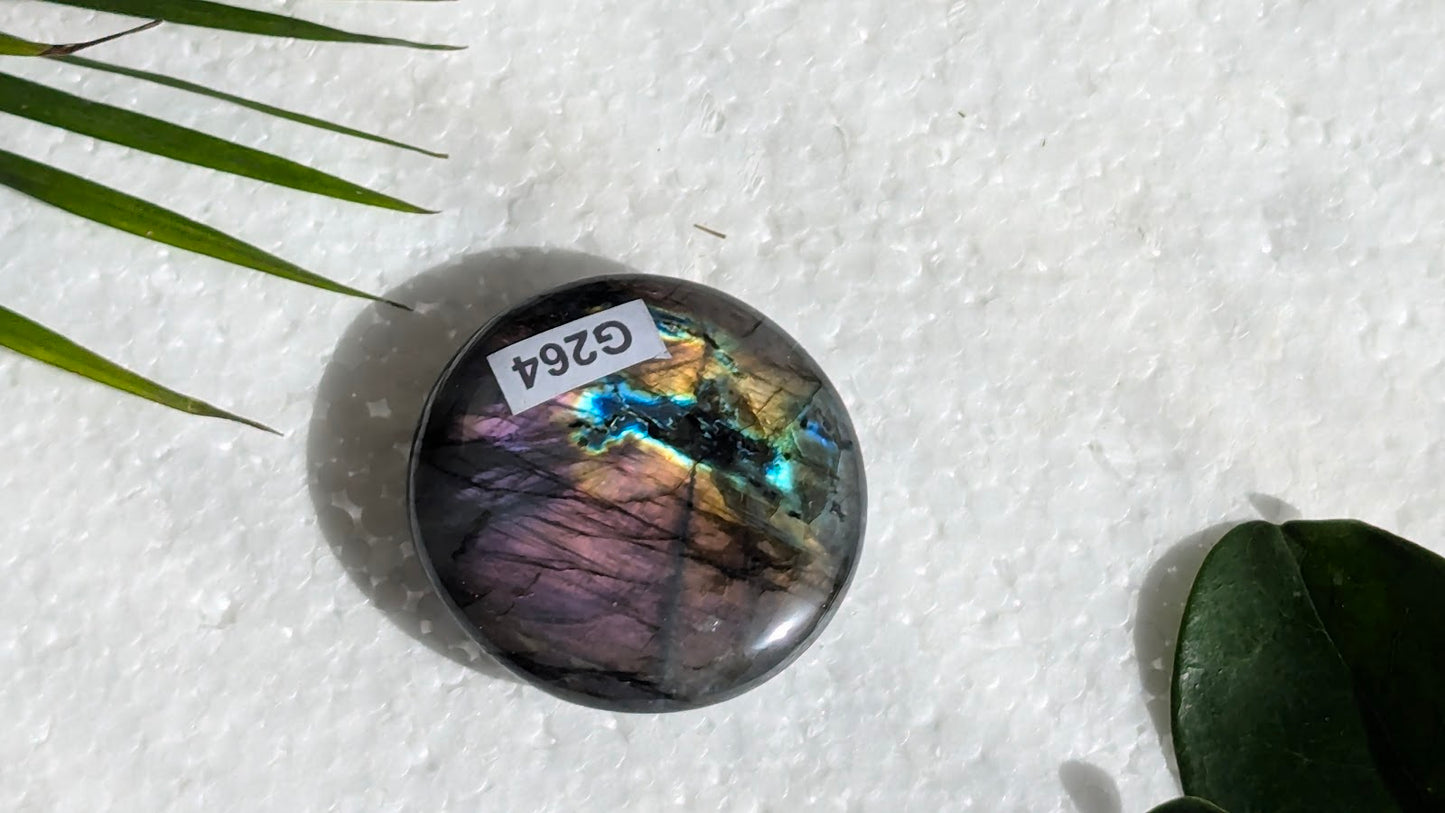 G264 Labradorite Galet