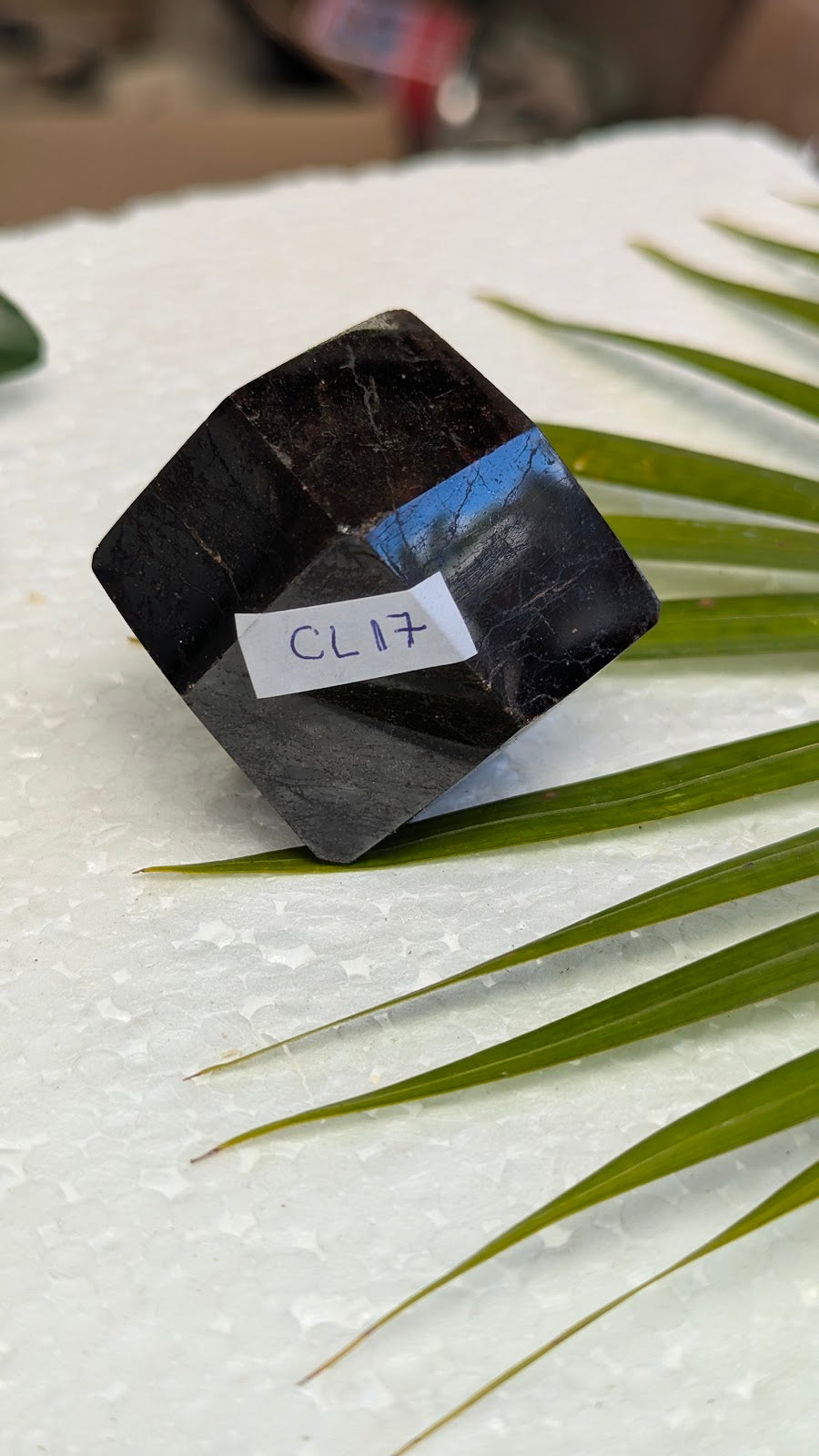 CL17 Grenat collection