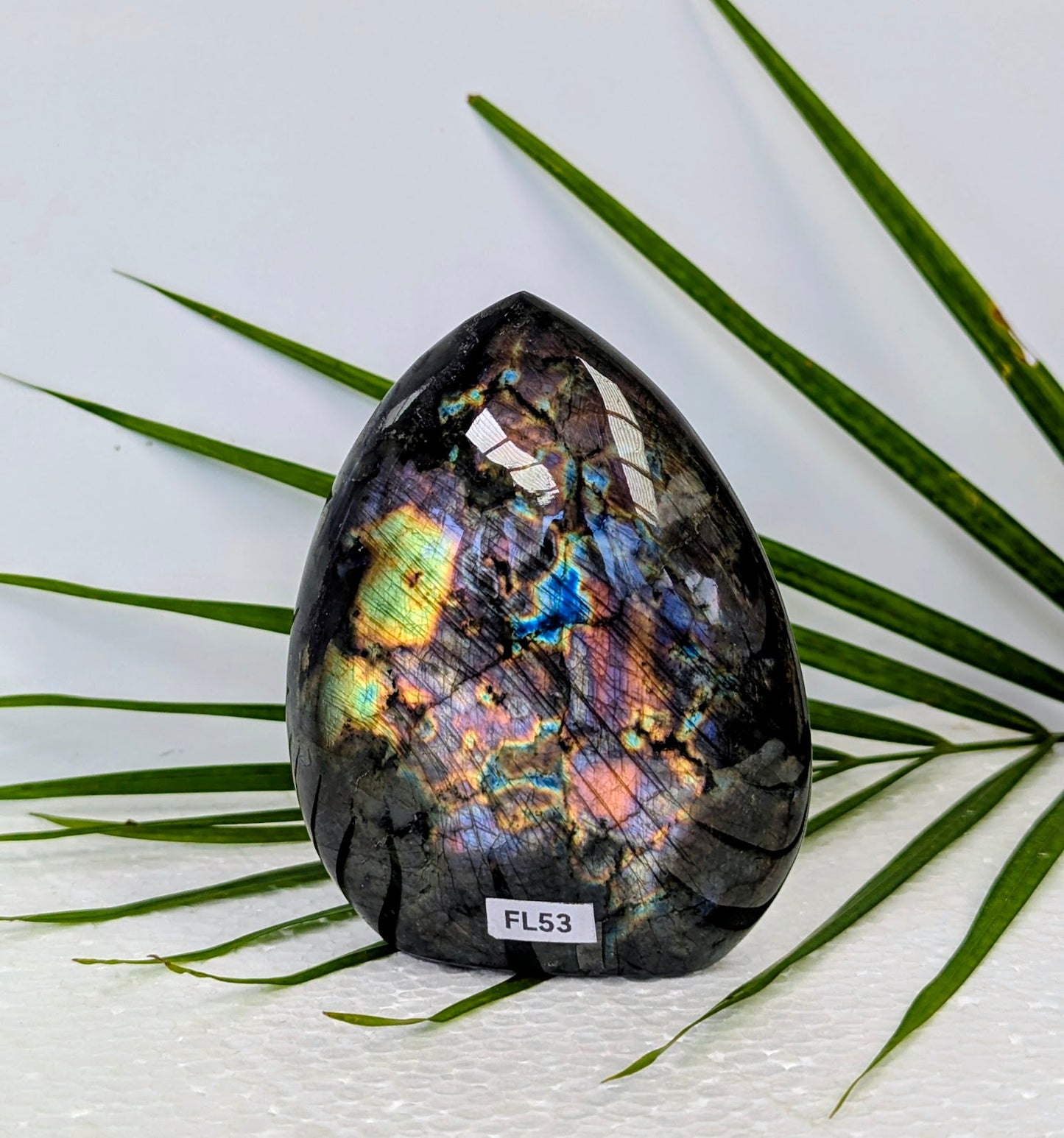 FL53 Labradorite Forme libre
