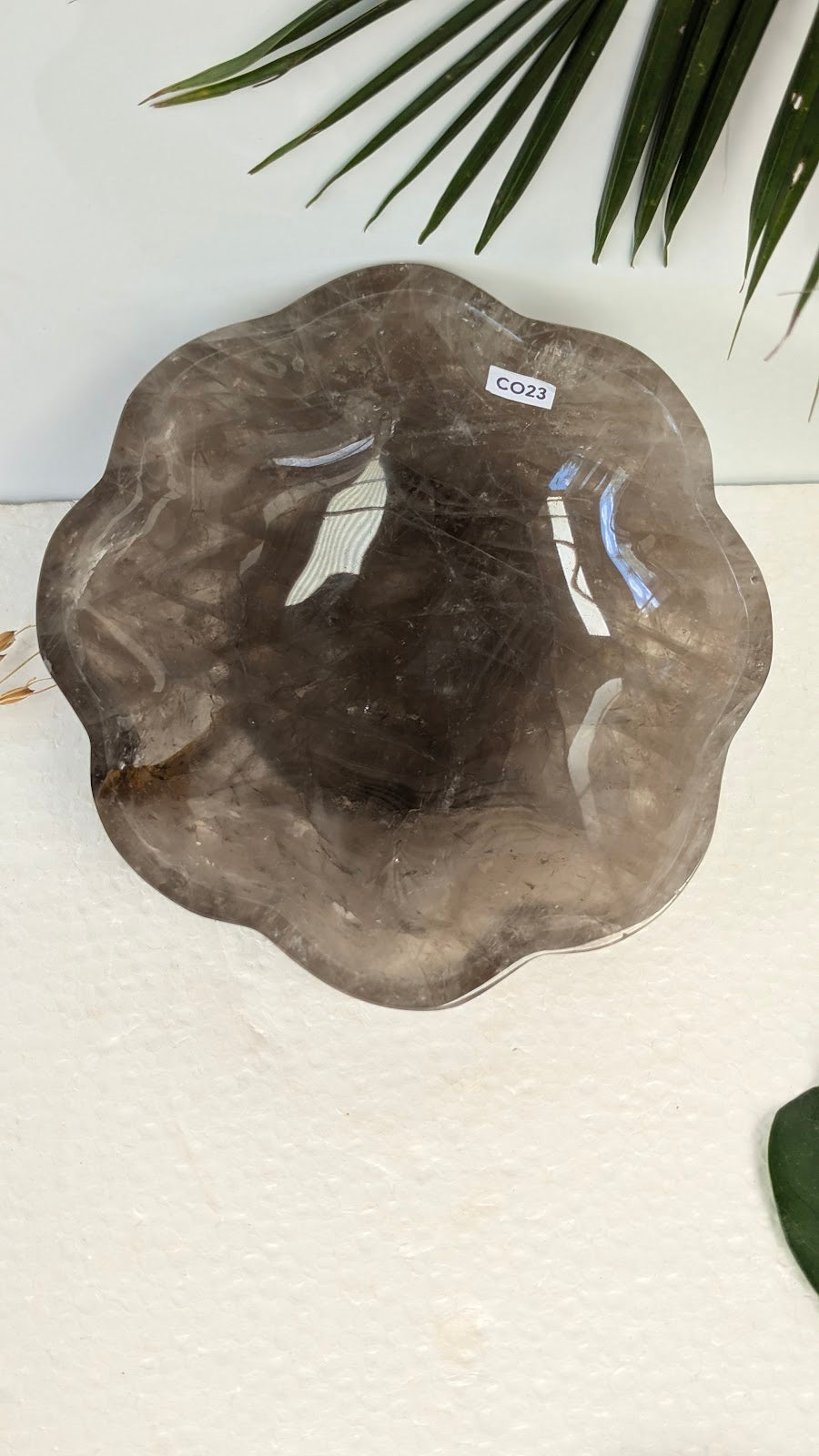 CO23 Quartz-fumé Coupelle