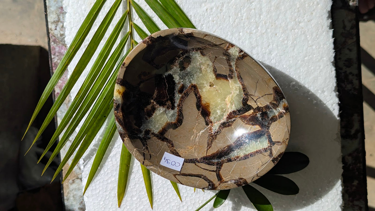 CO94 Septaria Coupelle