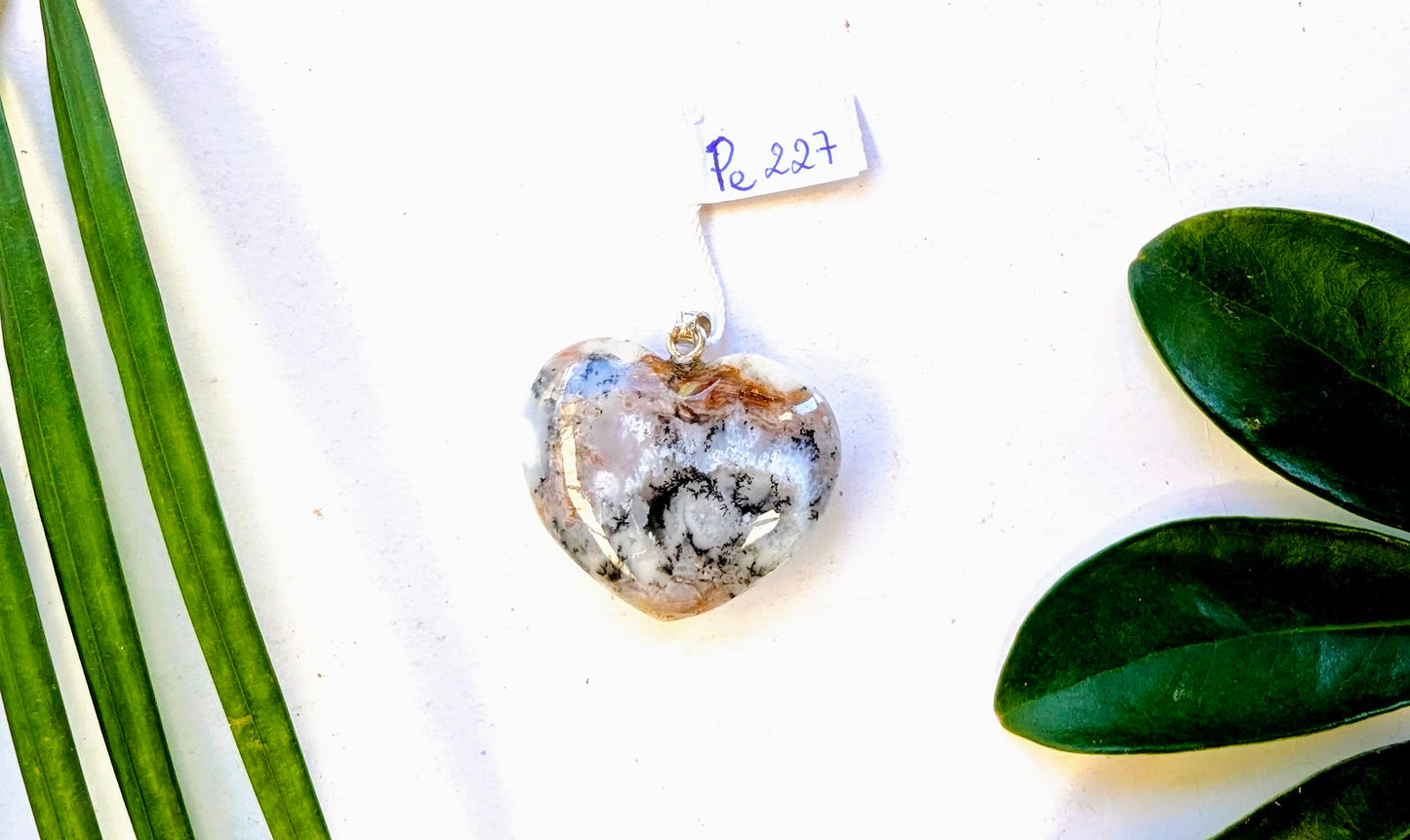 Pe 227 Agate fougère pendentif