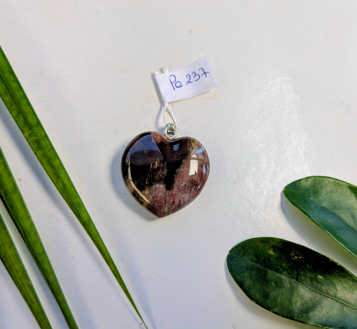 Pe 237 Bois fossilisé pendentif