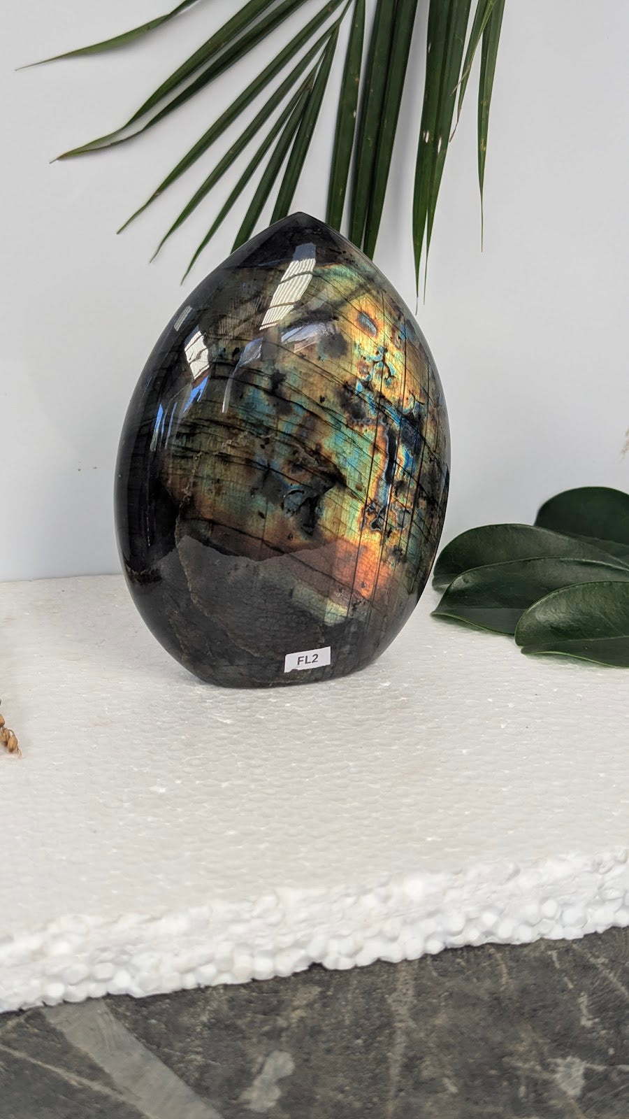 FL2 Labradorite Forme libre
