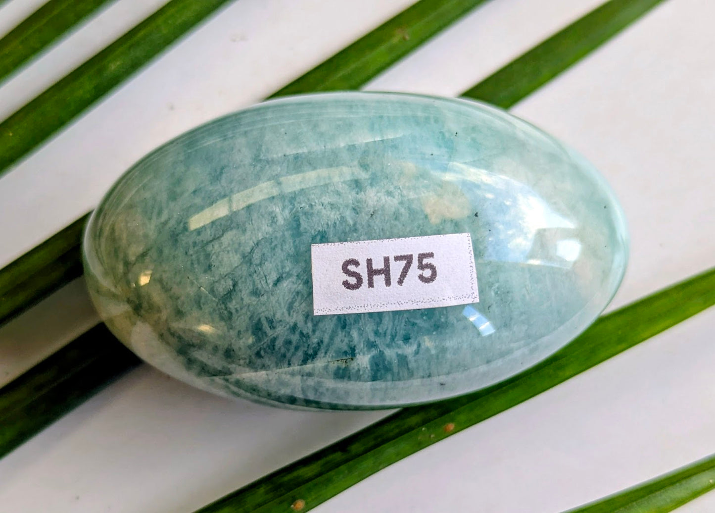 SH75 Amazonite shiva