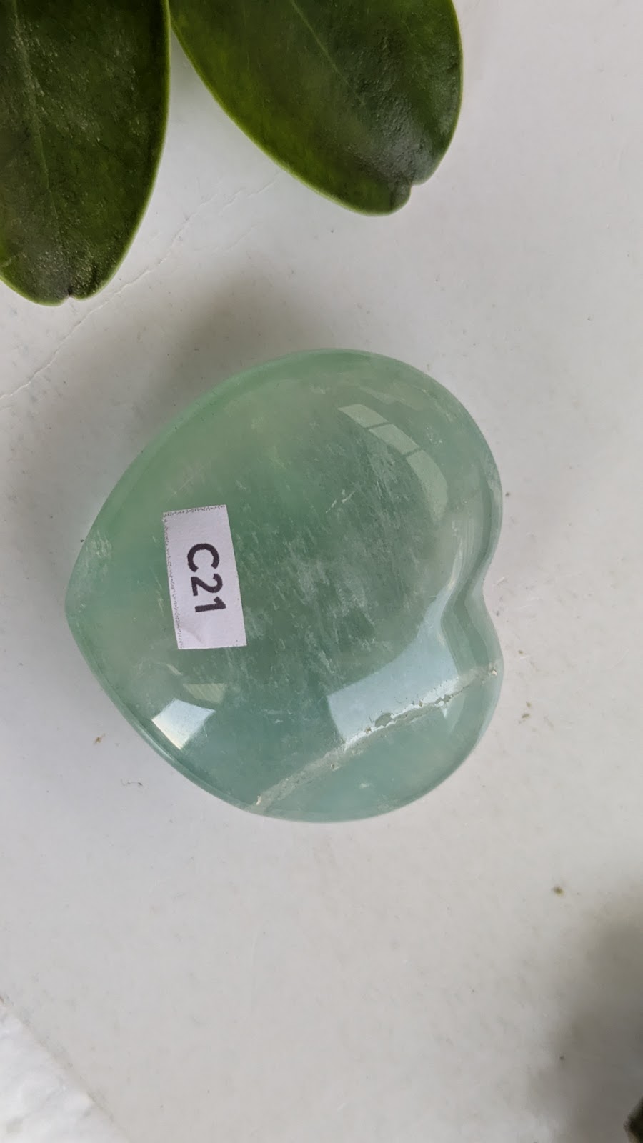 C21 Fluorine verte coeur