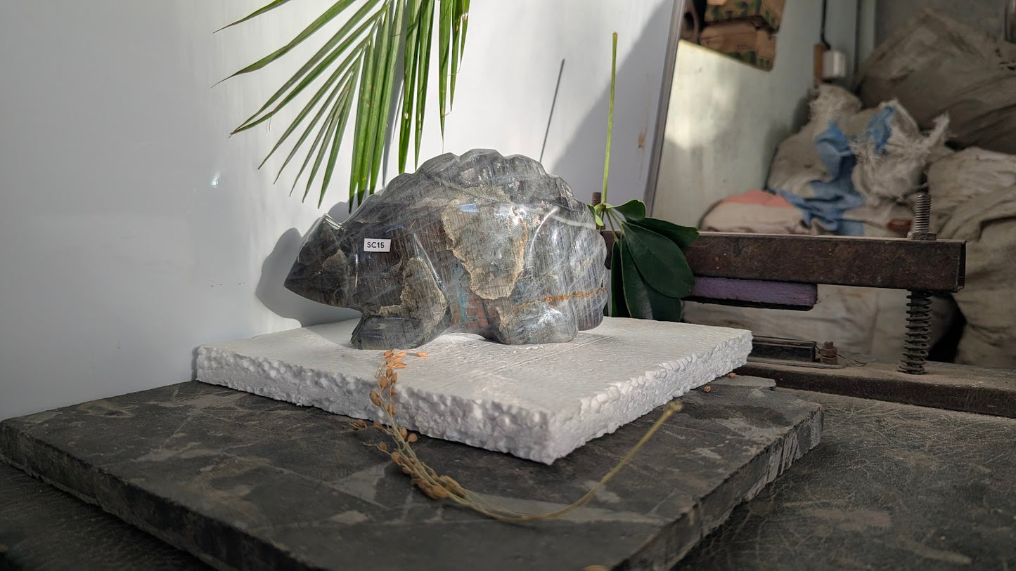 SC15 Caméléon labradorite Sculpture