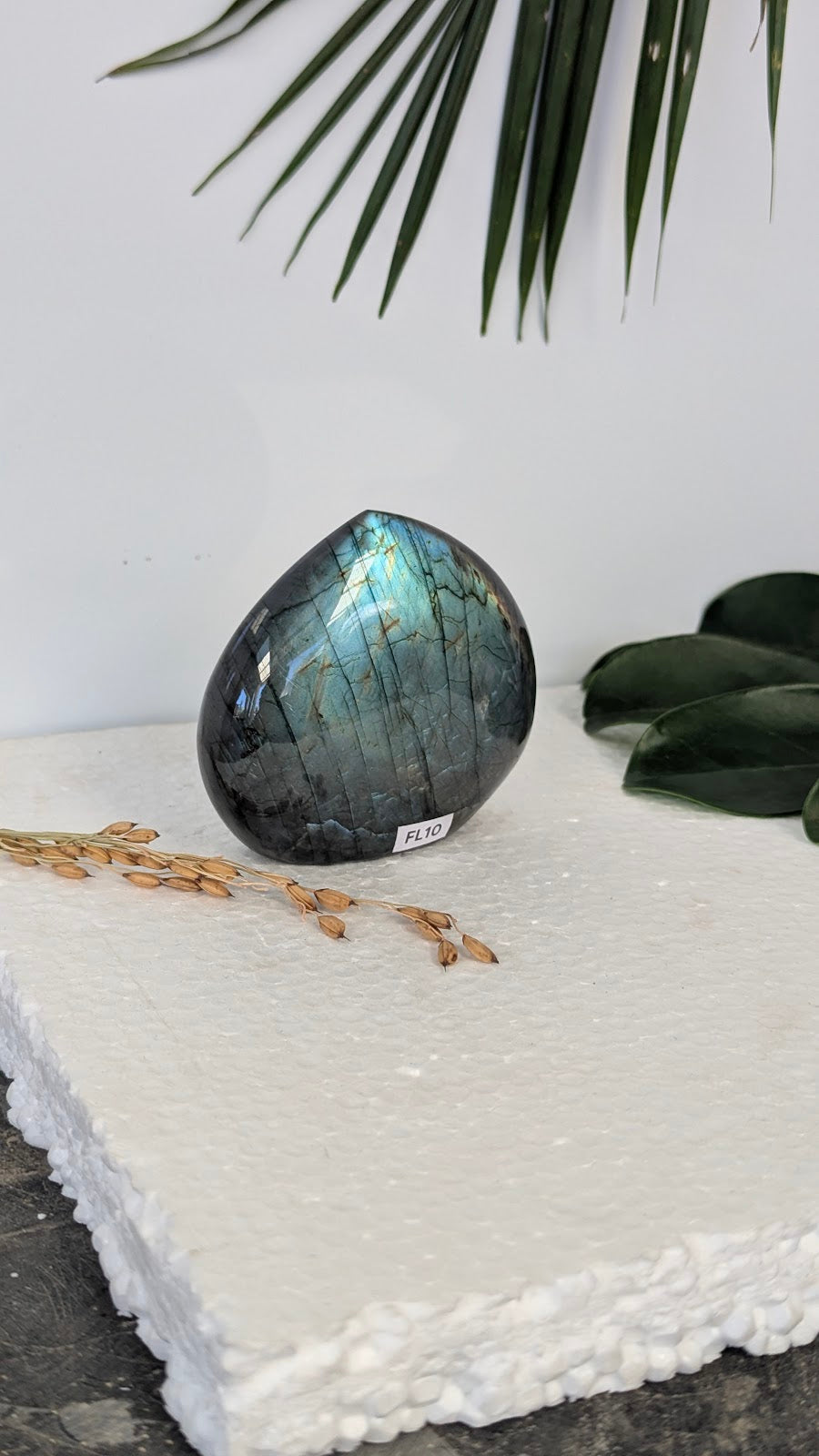 FL10 Labradorite Forme libre