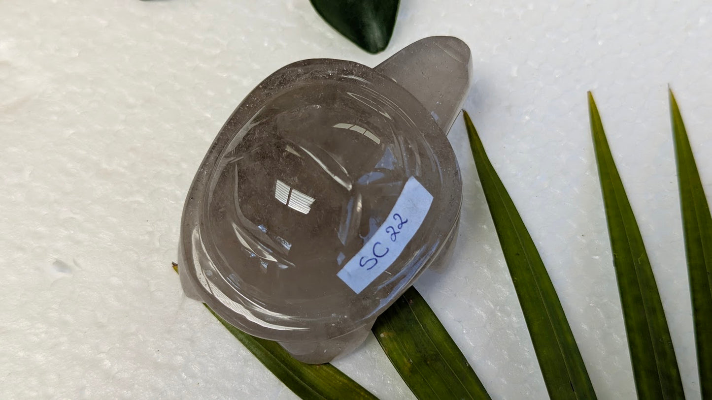 SC 22 Quartz fumé tortue