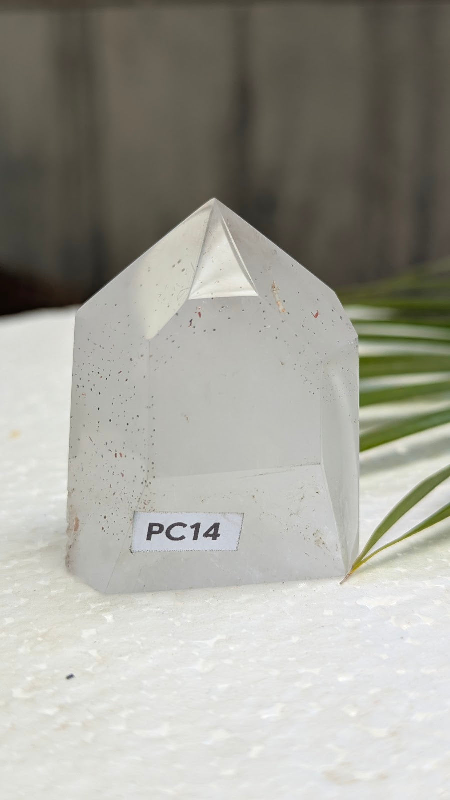 PC14 Quartz titane Collection