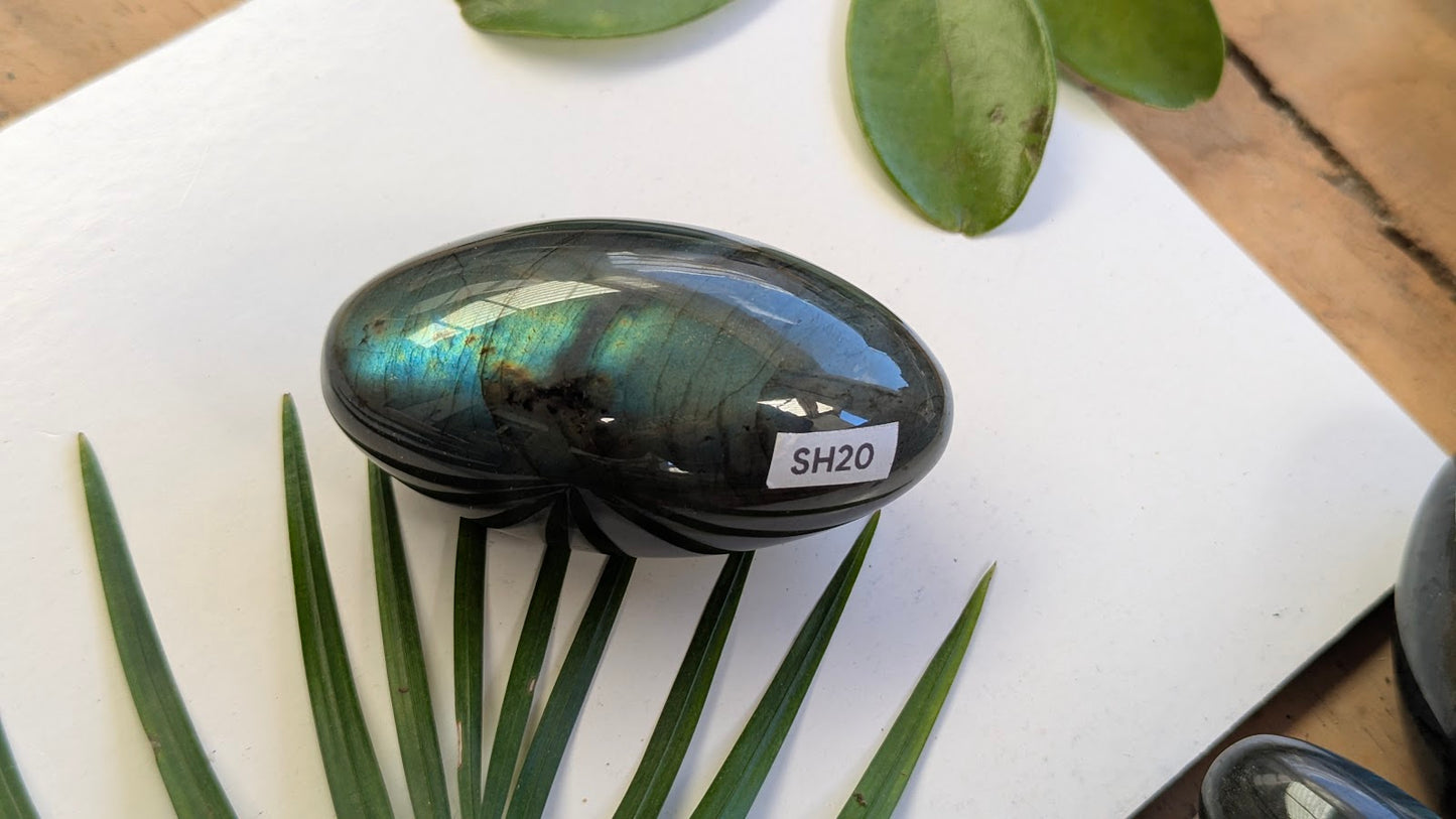SH20 Labradorite shiva