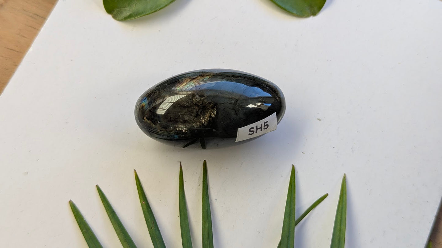 SH5 Labradorite shiva