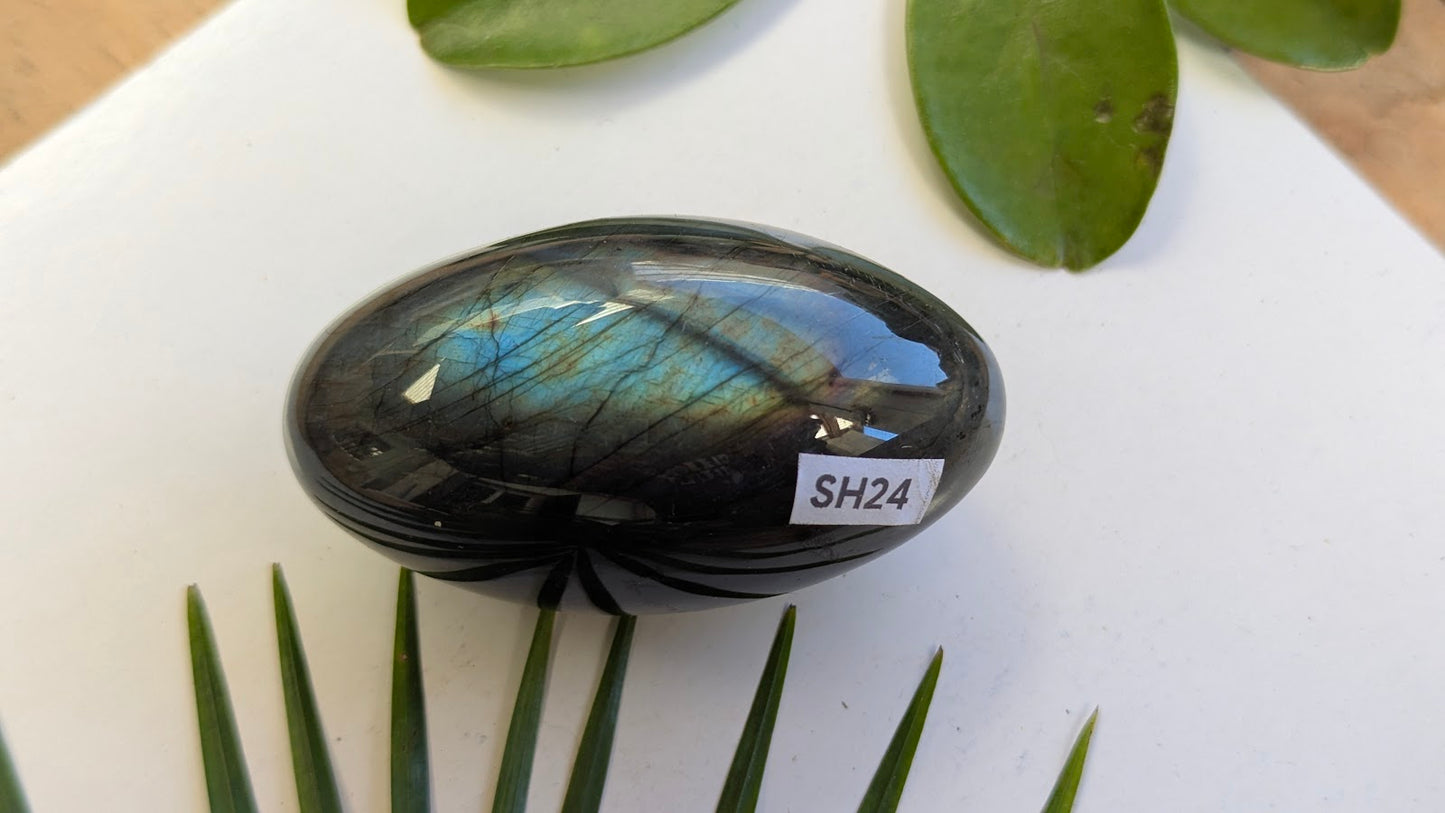 SH24 Labradorite shiva