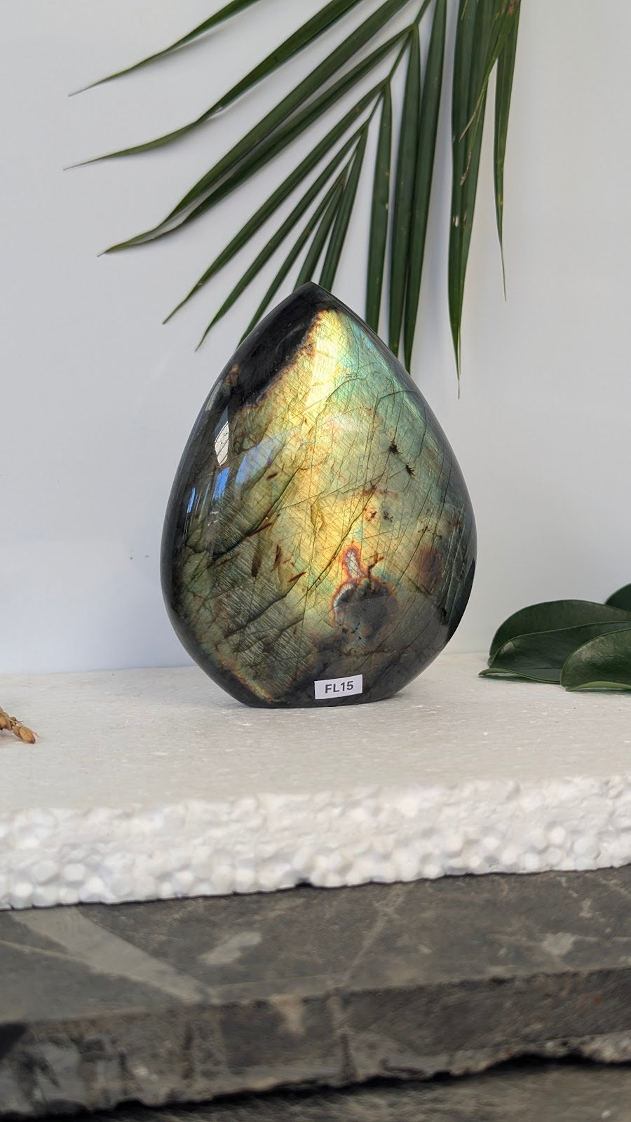 FL15 Labradorite Forme libre