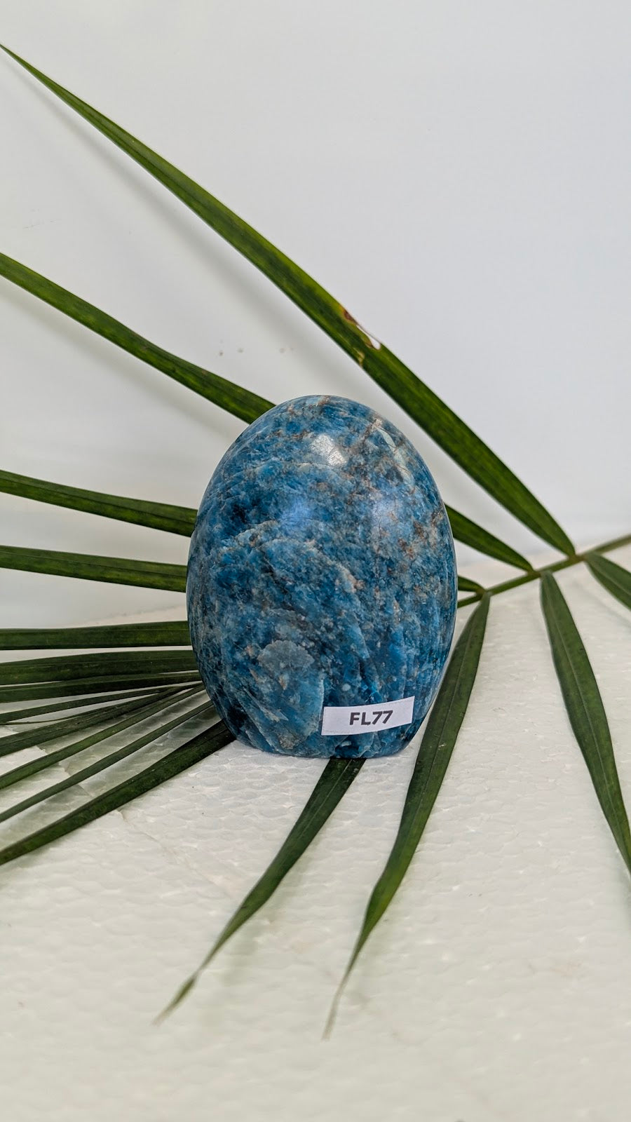 FL77 Apatite Forme libre