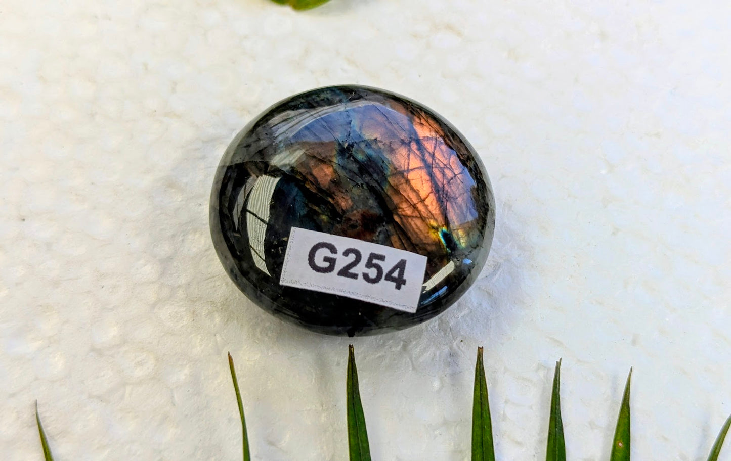 G254 Labradorite Galet