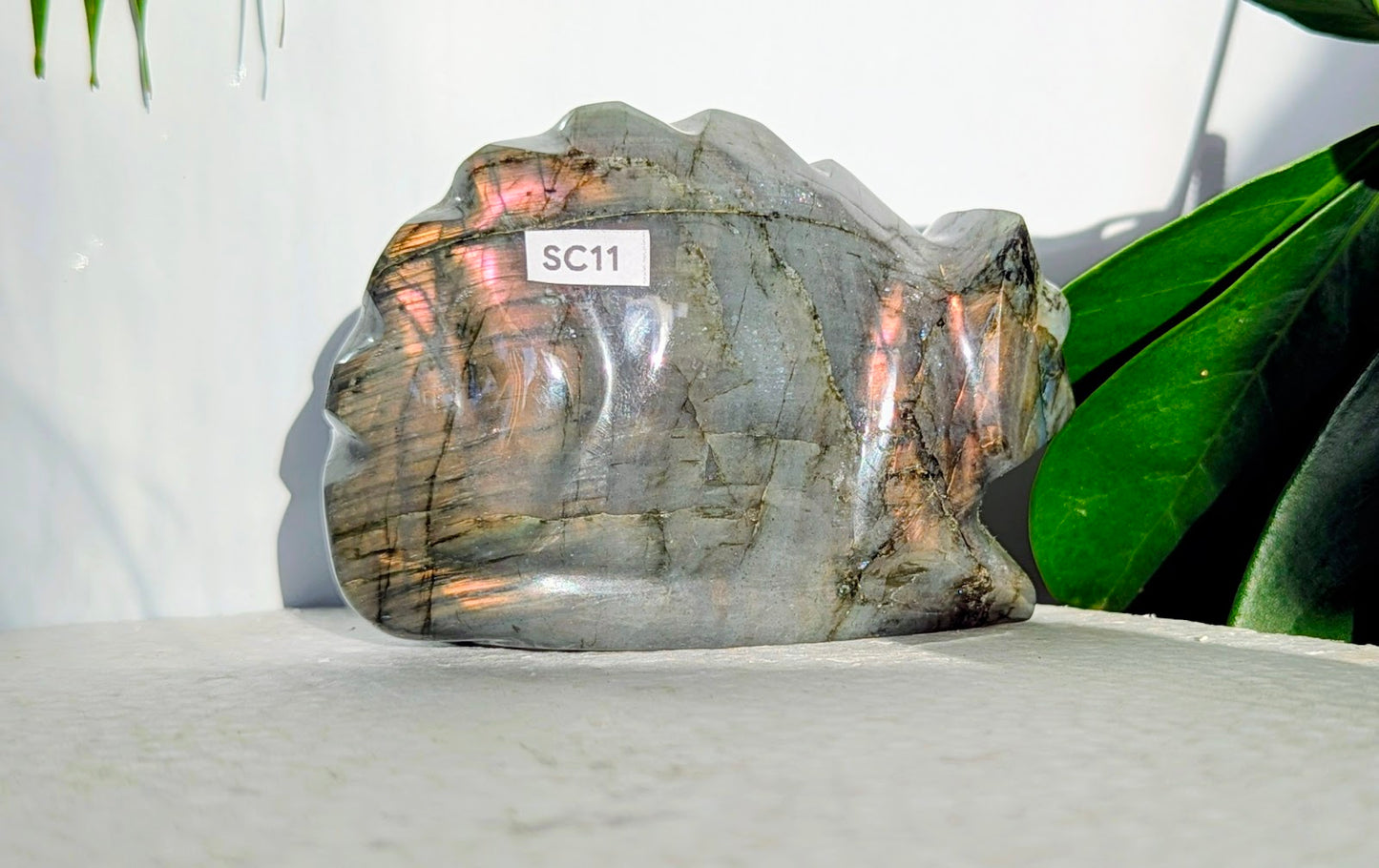 SC11 Caméléon labradorite Sculpture
