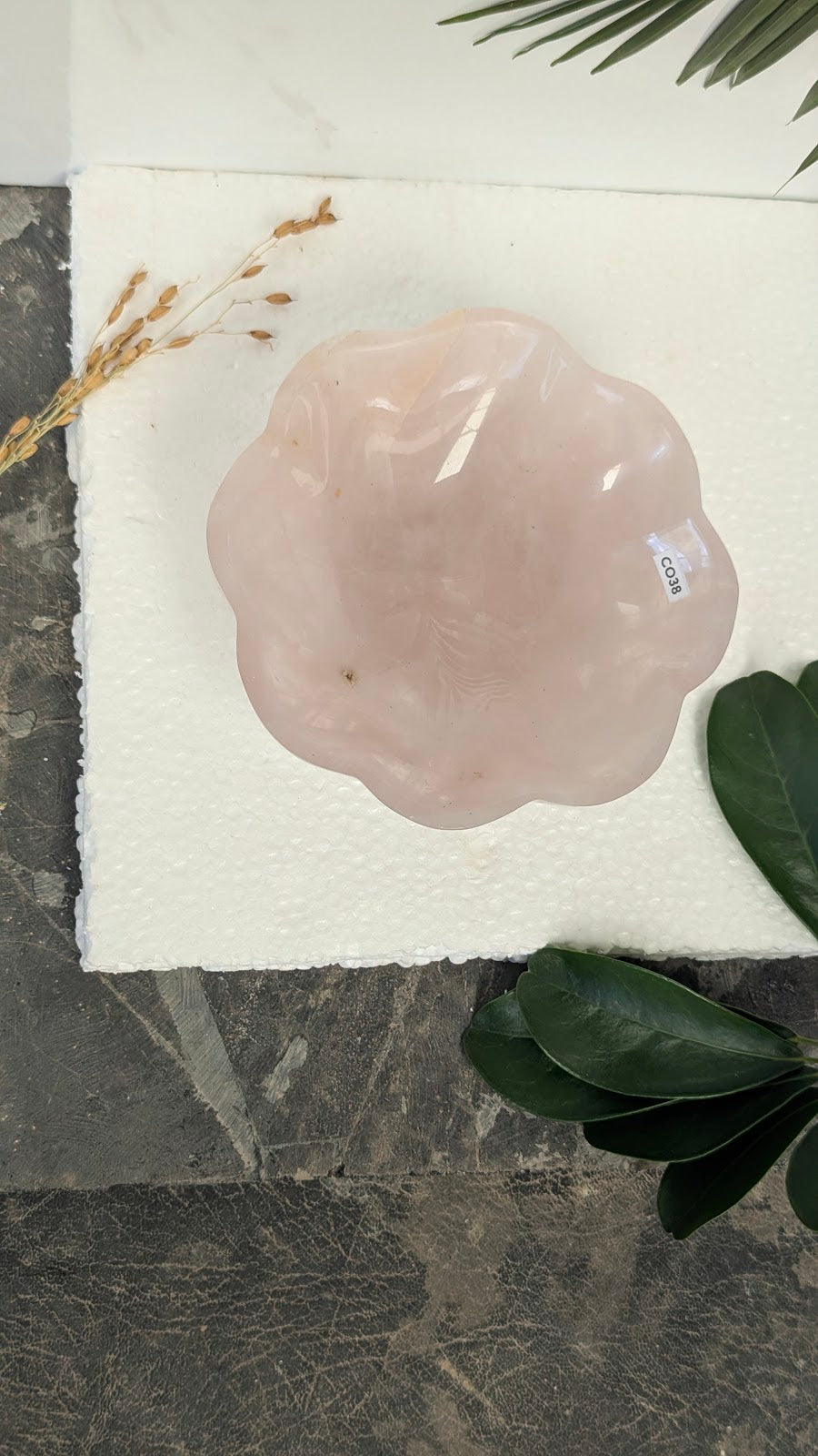 CO38 Quartz-Rose Coupelle