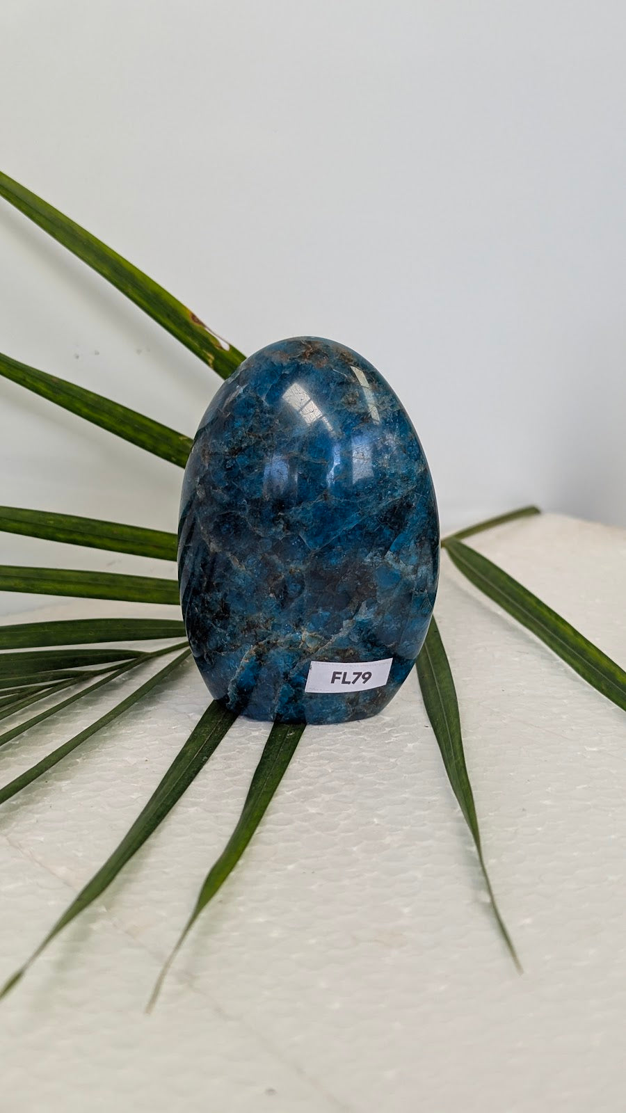 FL79 Apatite Forme libre
