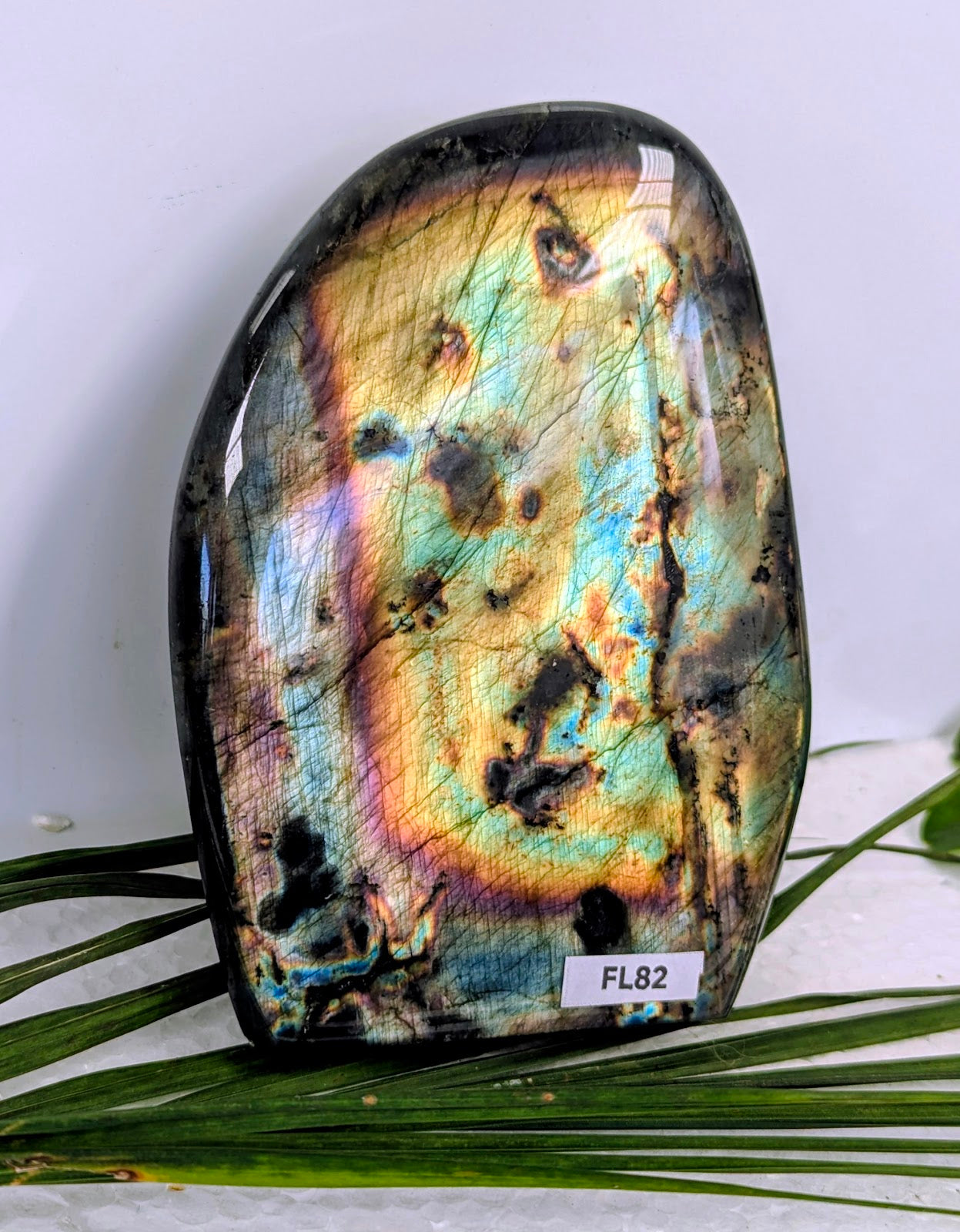 FL82 Labradorite Forme libre