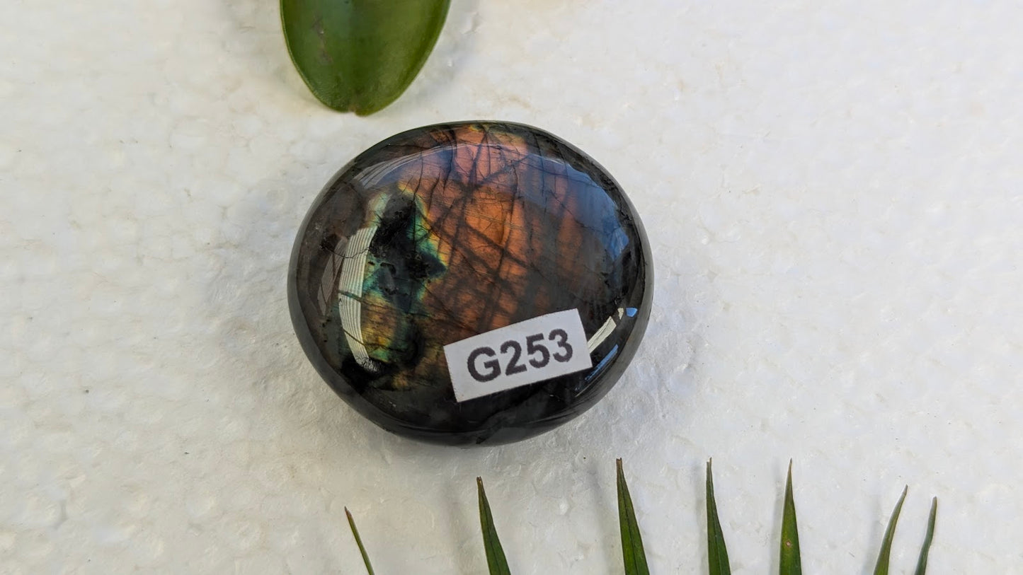 G253 Labradorite Galet