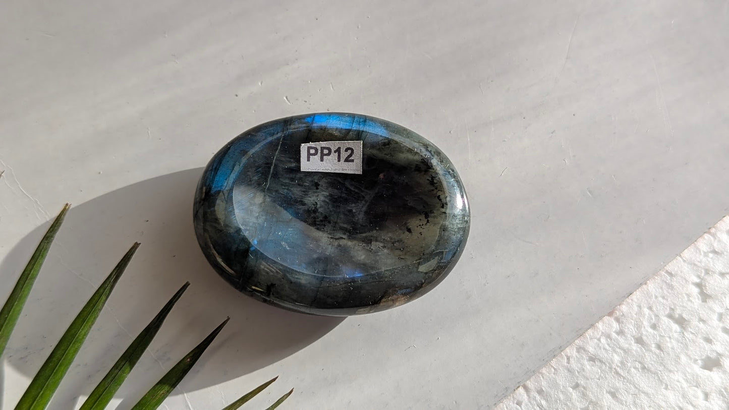 PP12 Labradorite Pierre de pouce