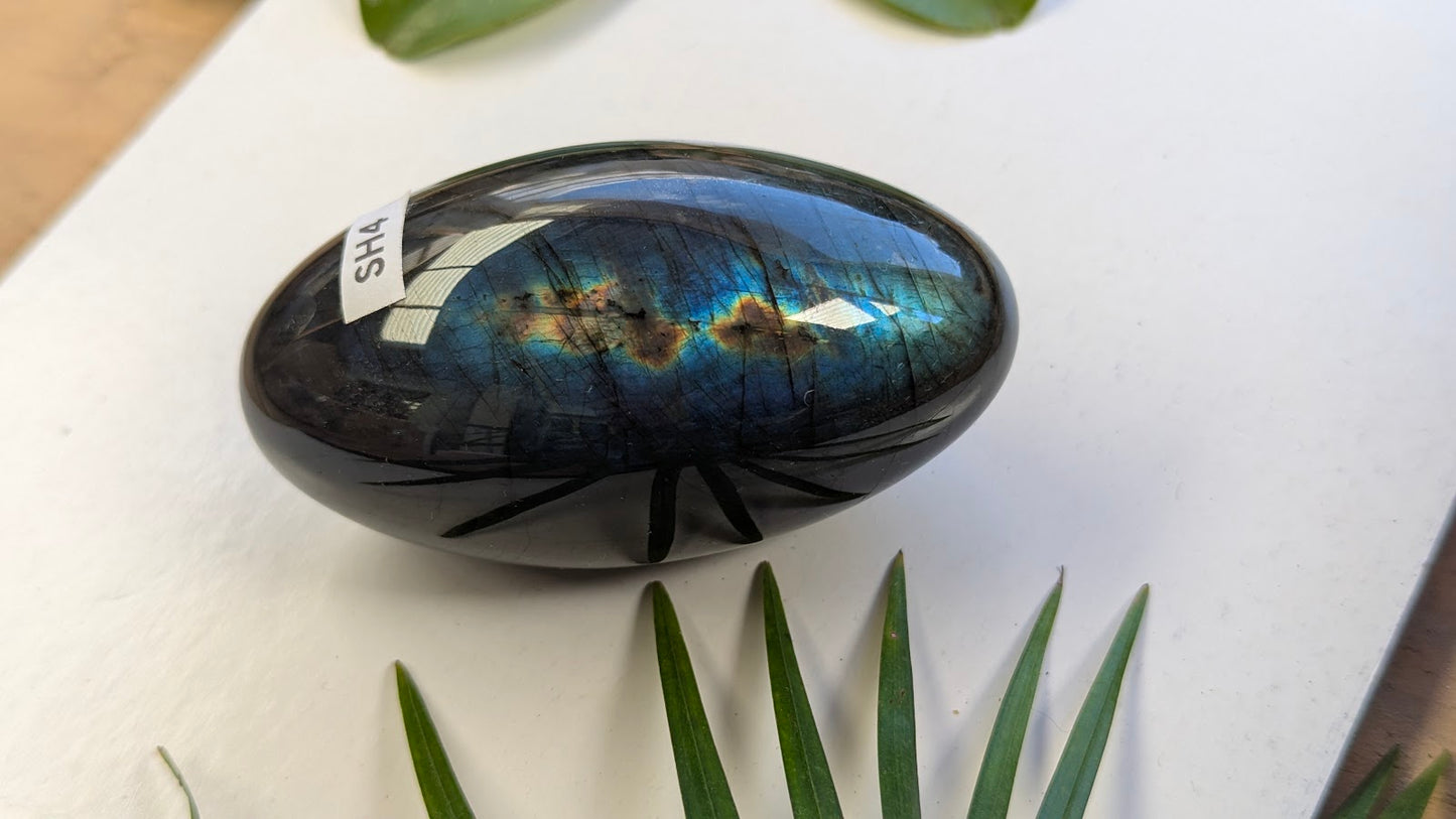 SH4 Labradorite shiva