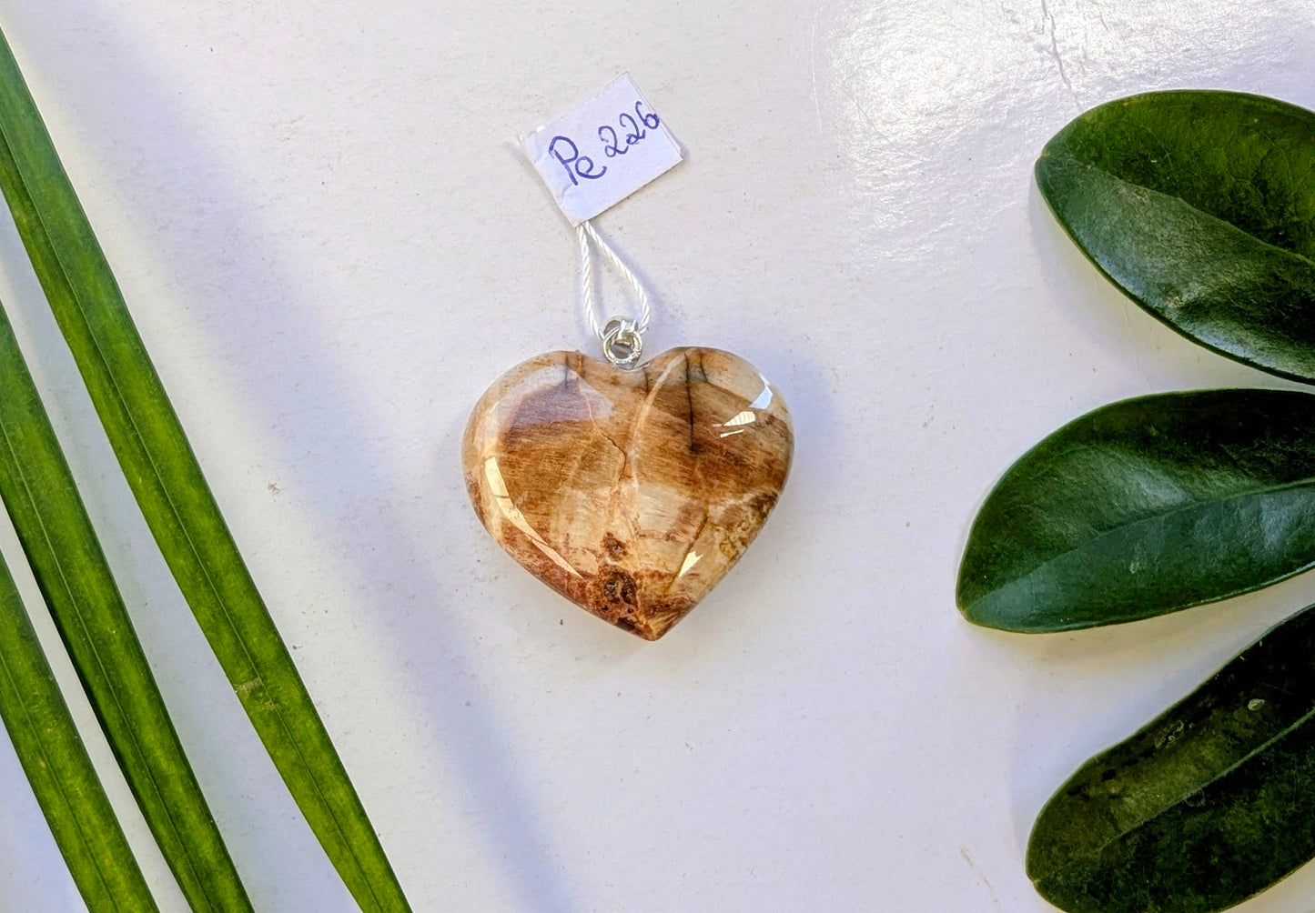 Pe 226 Bois fossilisé pendentif