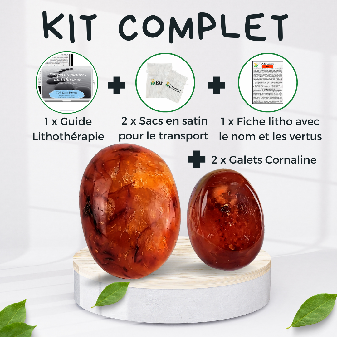 2 x Galets Cornaline Grade B avec imperfections