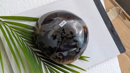 FL39 Agate dendritique Forme libre