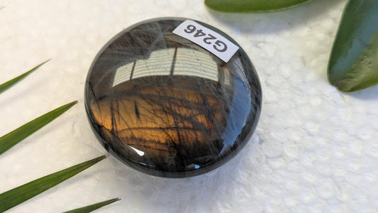 G246 Labradorite Galet