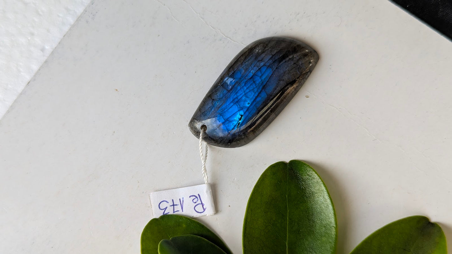 Pe 173 Labradorite Pendentif