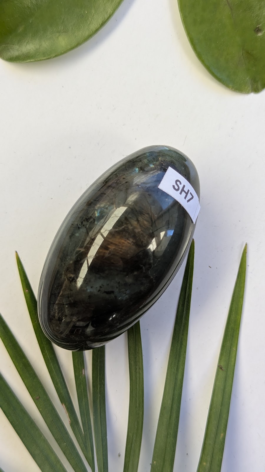 SH7 Labradorite shiva