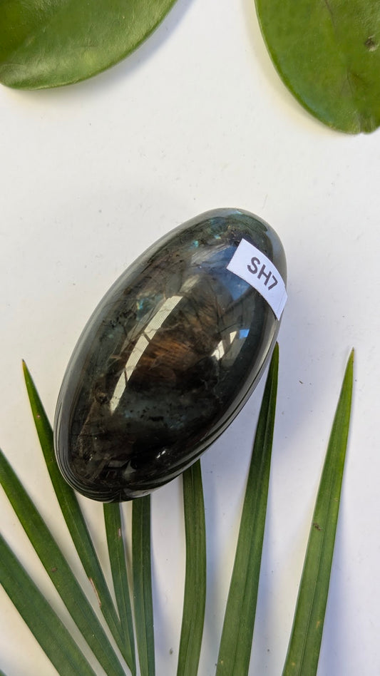 SH7 Labradorite shiva